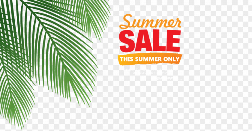 Summer Million Products Discount Proxy Server Virtual Private Network Clip Art PNG