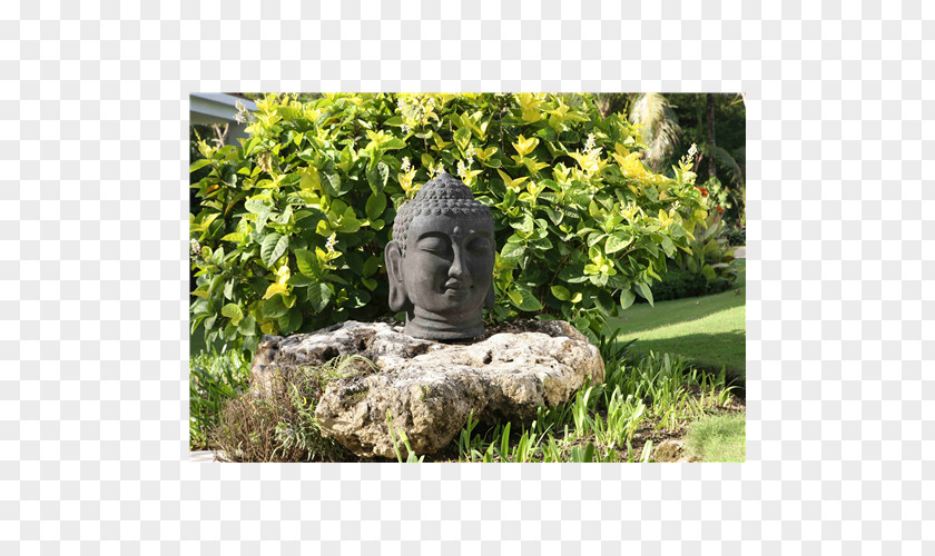 Tree Statue Landscape Shrub Meter PNG