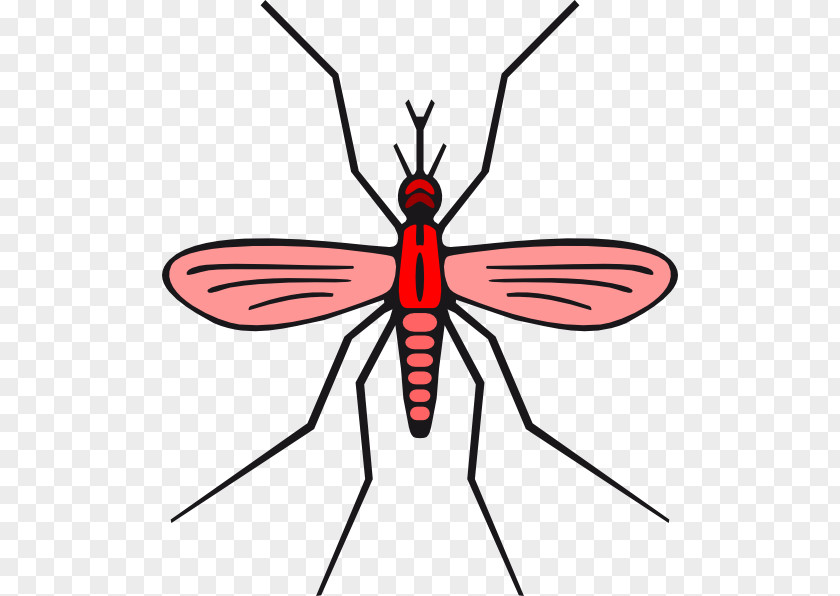 Version Mosquito Clip Art PNG