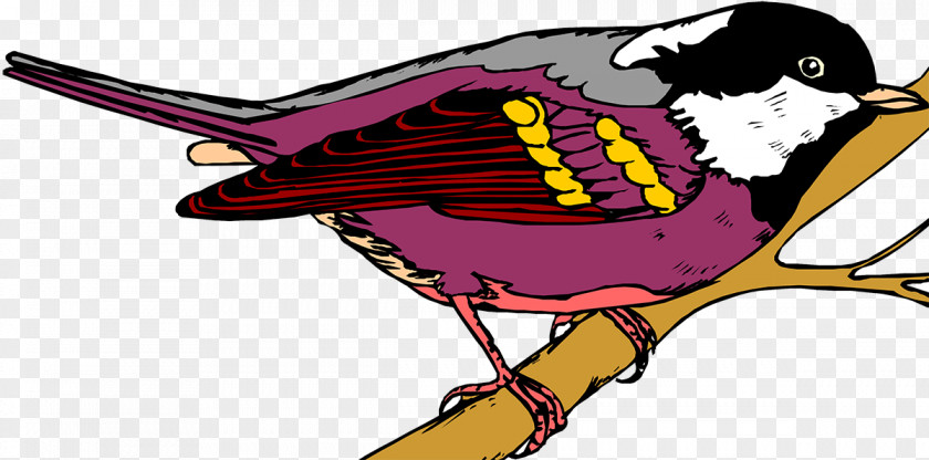Beak Bird Clip Art Painting Illustration PNG