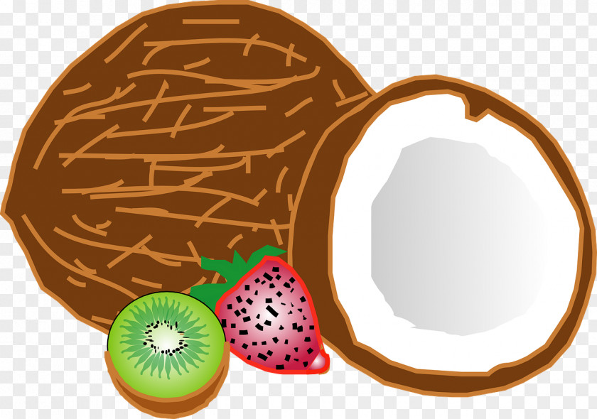 Coconut Water Drawing Clip Art PNG