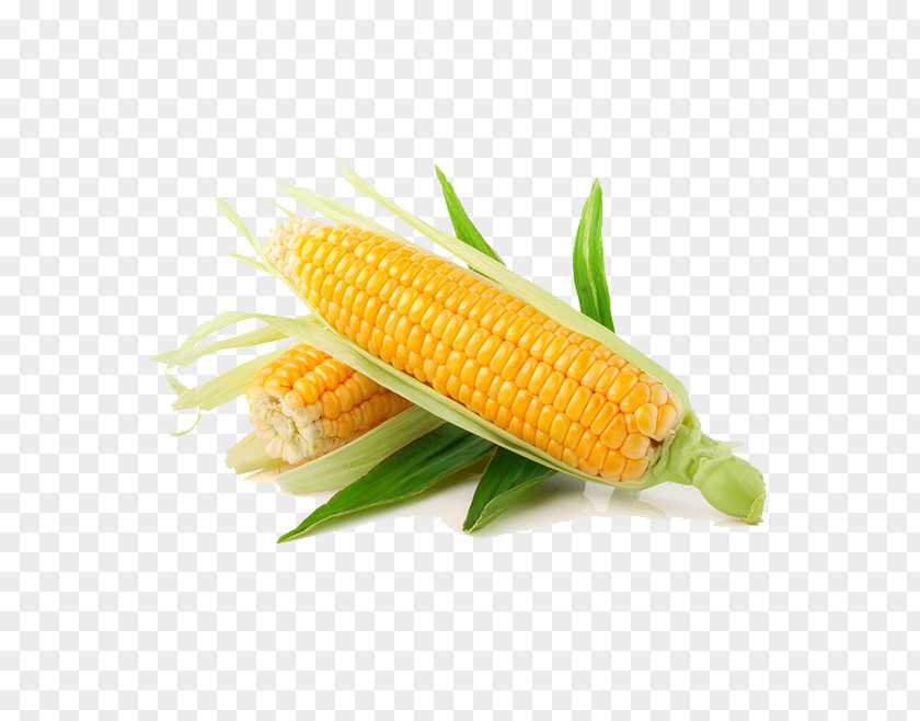 Corn Maize Vegetable Sweet Kernel Fruit PNG