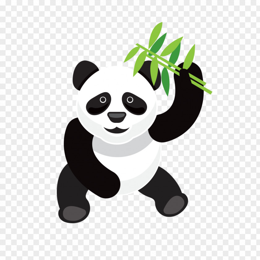 David Panda Cartoon China Giant PNG