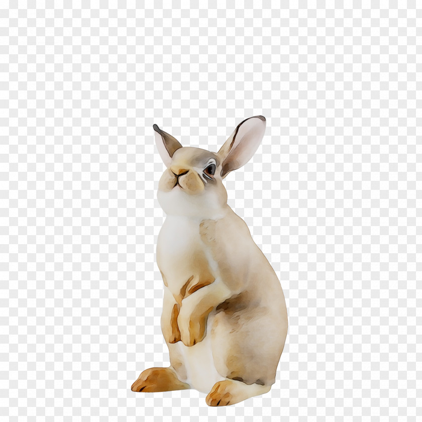 Domestic Rabbit Hare Figurine Snout PNG