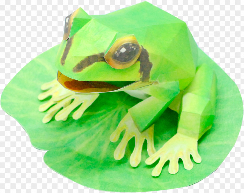 Frog Paper Craft True Model Toys PNG