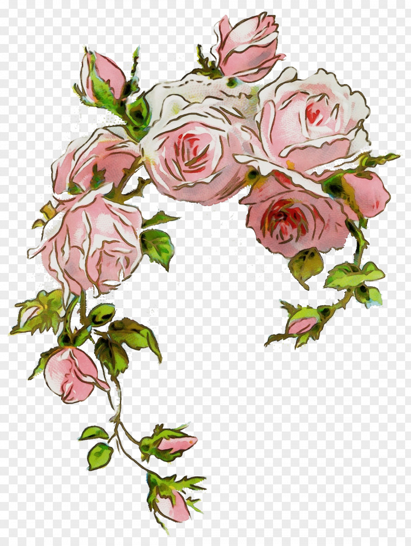 Hybrid Tea Rose Artificial Flower Watercolor Floral Background PNG