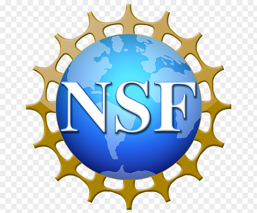 Nsf International National Science Foundation Small Business Innovation Research Experiences For Undergraduates Grant PNG