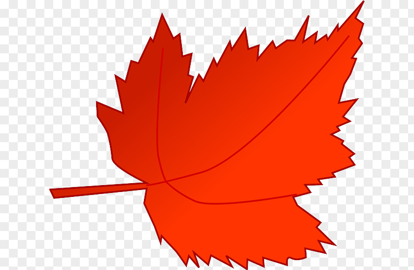 Tree Timeline Autumn Leaf Color Clip Art PNG