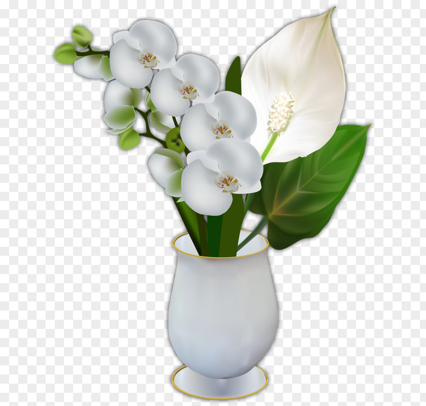 Vase Clip Art Flower Image PNG