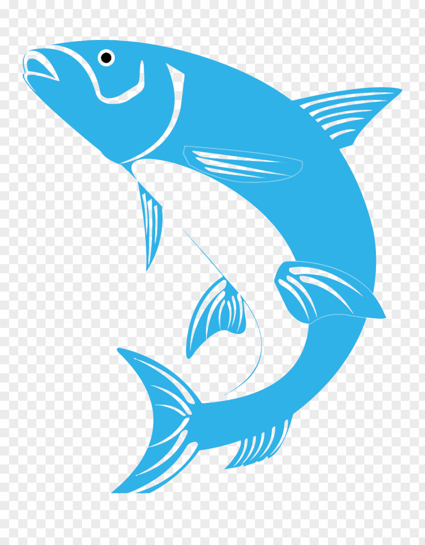 Vector Fishing Association PNG