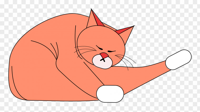 Cat Kitten Small Whiskers Snout PNG