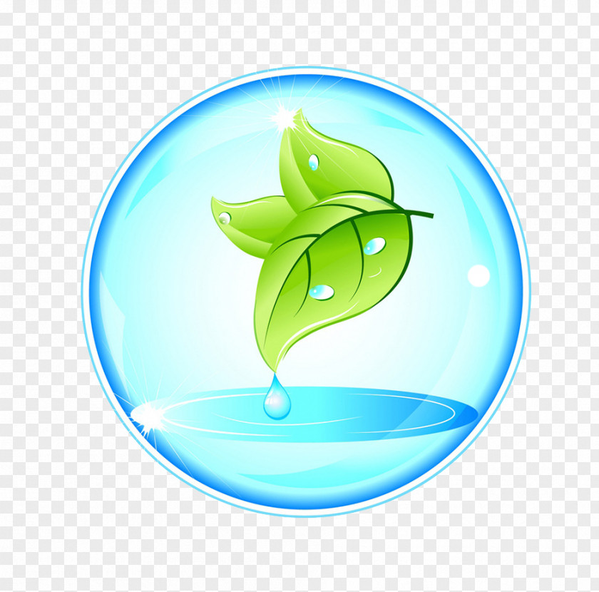 Leaves And Water Droplets Nature Illustrator Symbol Logo PNG