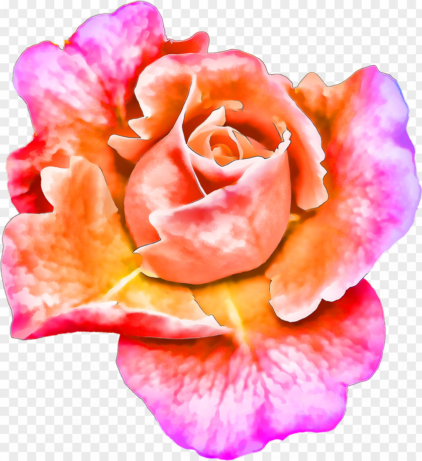 Painting Floral Design Flower Art Image PNG