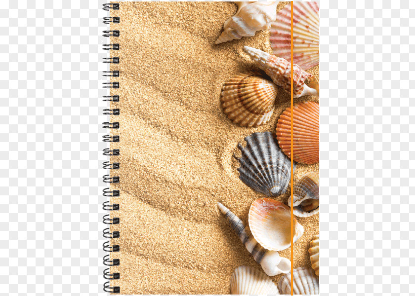 Sand Stock Photography Royalty-free PNG