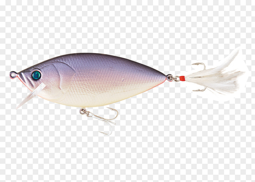 Tequila Sunrise Sardine Spoon Lure Milkfish Perch AC Power Plugs And Sockets PNG