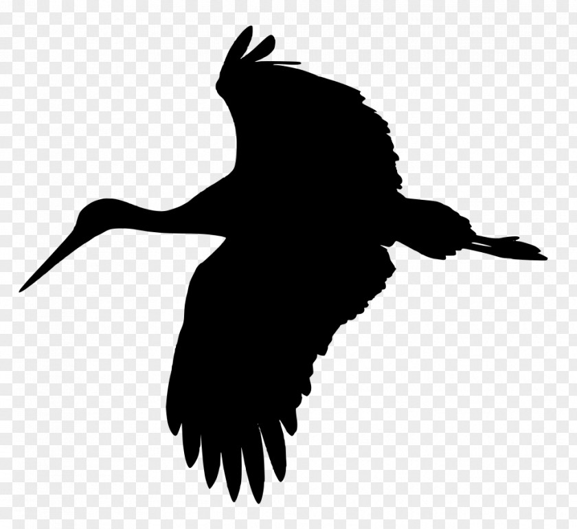 Crane White Stork Heron Bird Clip Art PNG