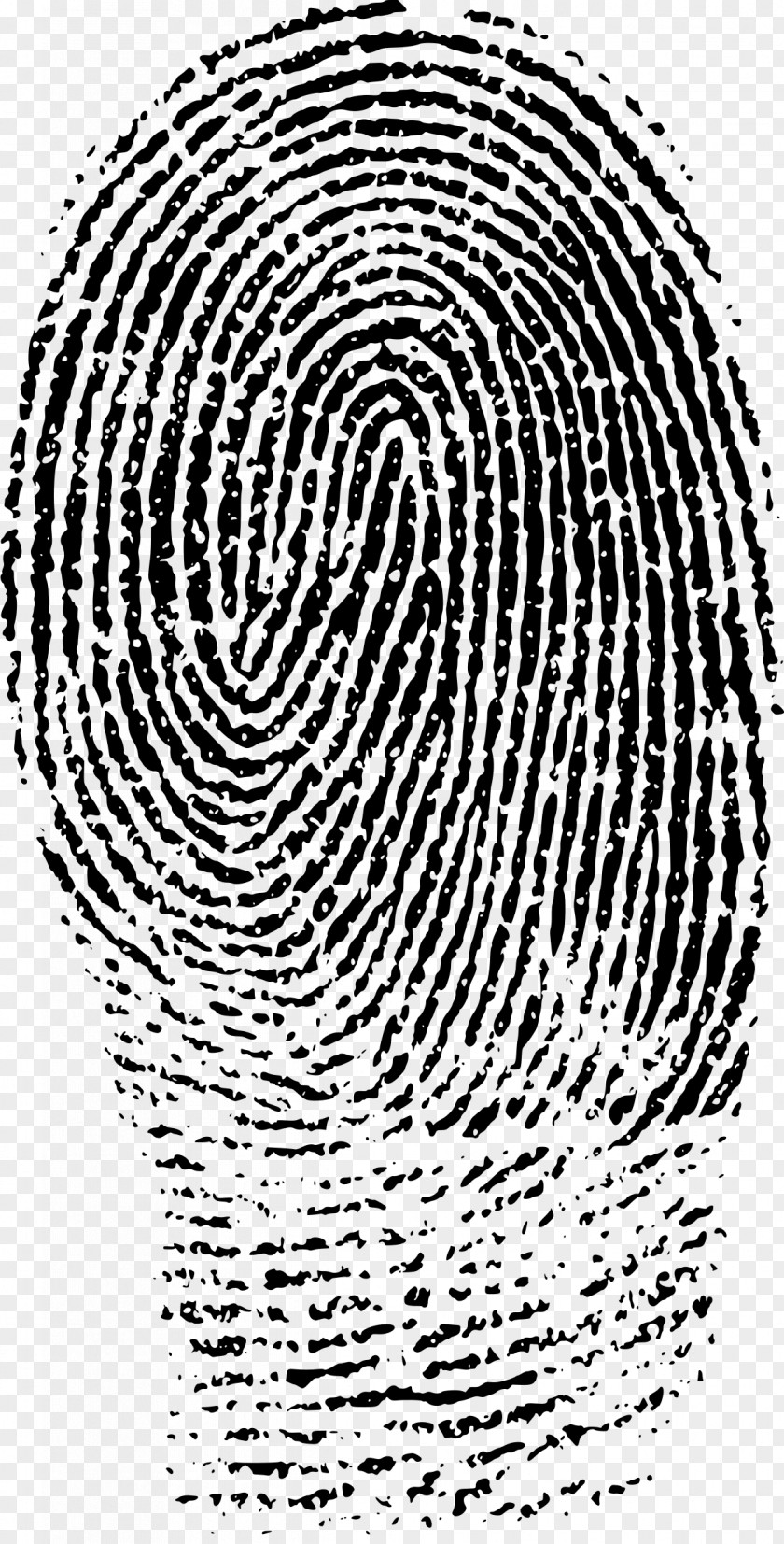 Finger Print Fingerprint Evidence Forensic Science Crime Scene PNG
