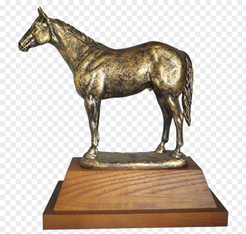 Horse Trophy Stallion Award Mare PNG