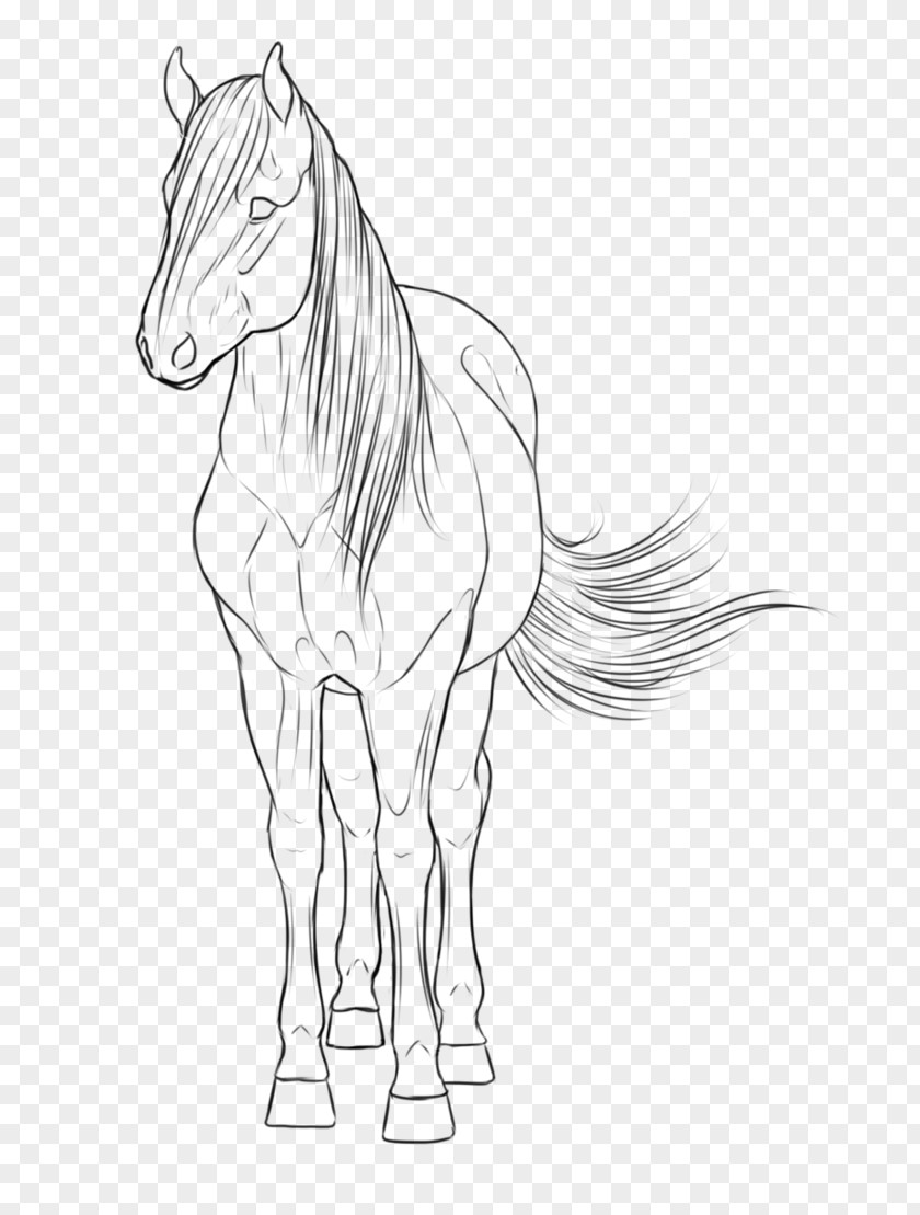 Mustang Mane Pony Stallion Sketch PNG