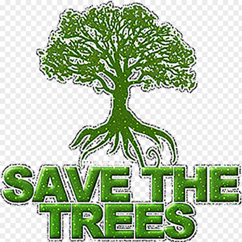 Natural Environment Tree Planting Billion Campaign Essay PNG