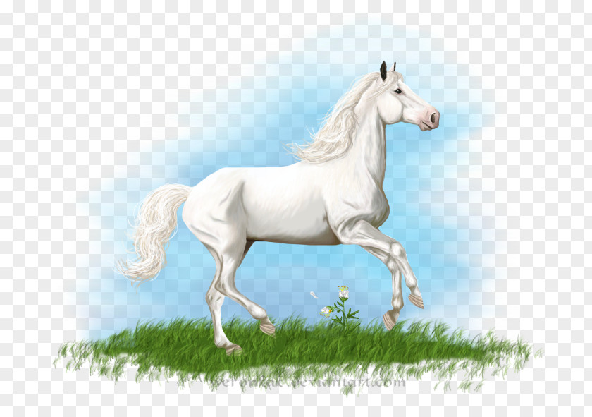 White Horse Arabian American Paint Howrse Shire French Trotter PNG