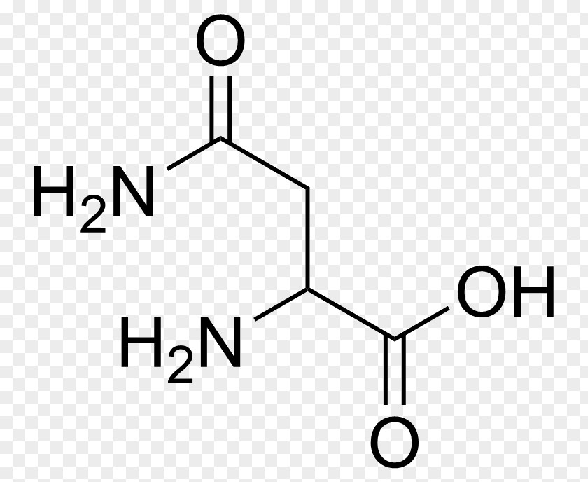 Amino Acid Leucine Dietary Supplement Chemistry PNG