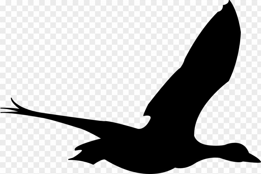 Animal Silhouettes Bird Flight Goose Clip Art PNG