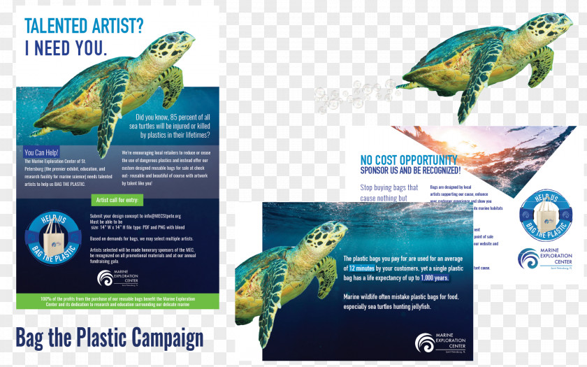 CLEAR LABS Marine Biology Parakeet Ecosystem Fauna PNG