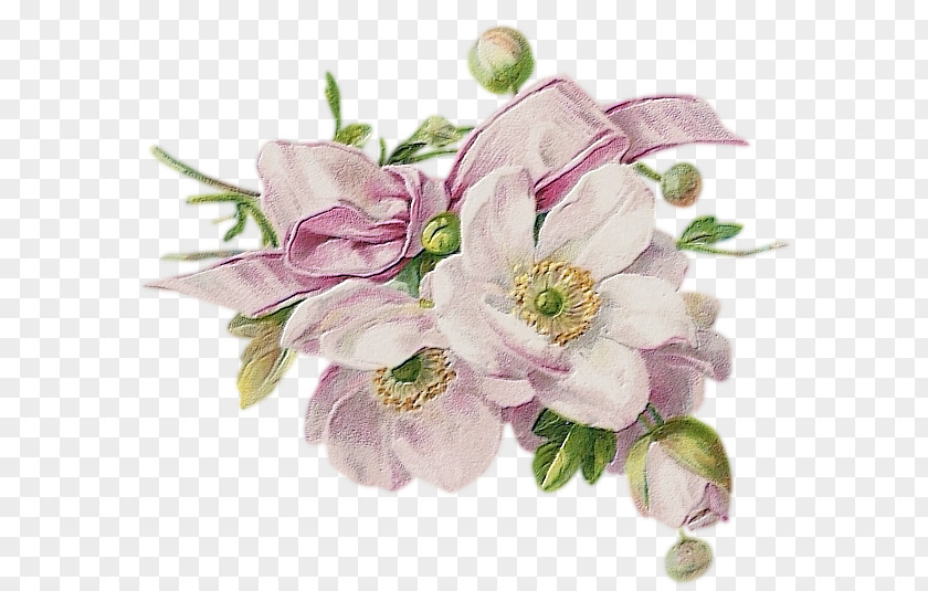 Flower Floral Design Bokmärke Painting PNG