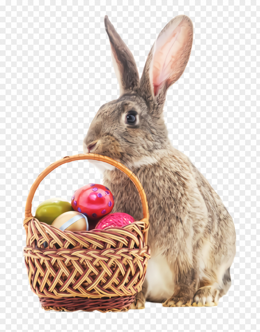 Hamper Wood Rabbit Easter Egg PNG