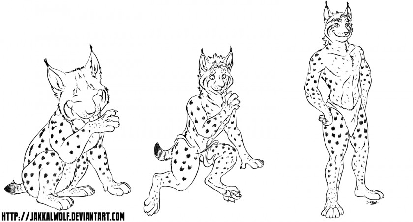 Lynx Cat Animal Dog Drawing PNG