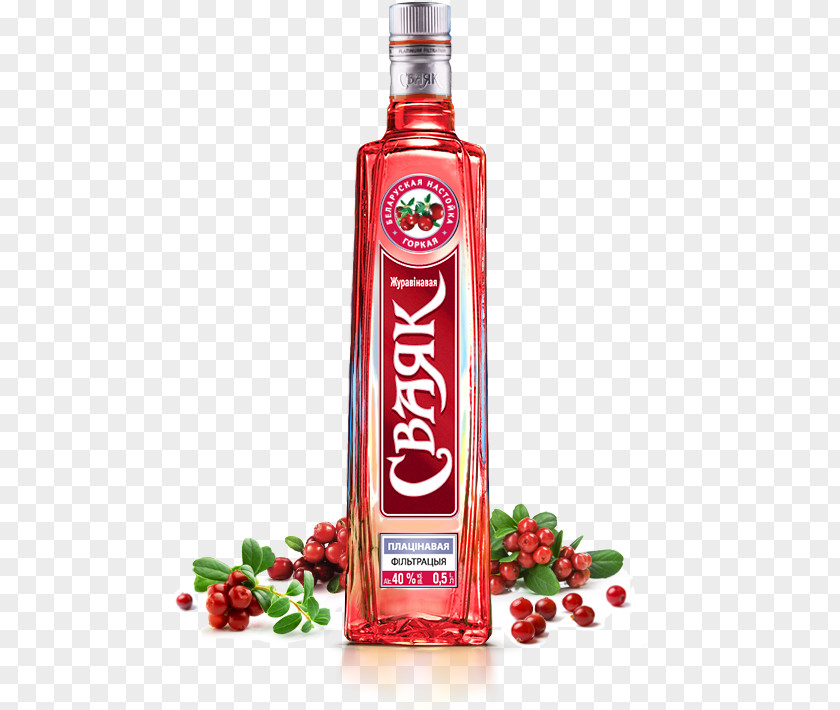 Vodka Liqueur Trademark Marketing Pomegranate Juice PNG