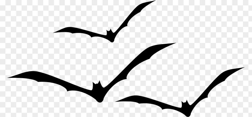 Bat Silhouette Count Dracula Clip Art PNG