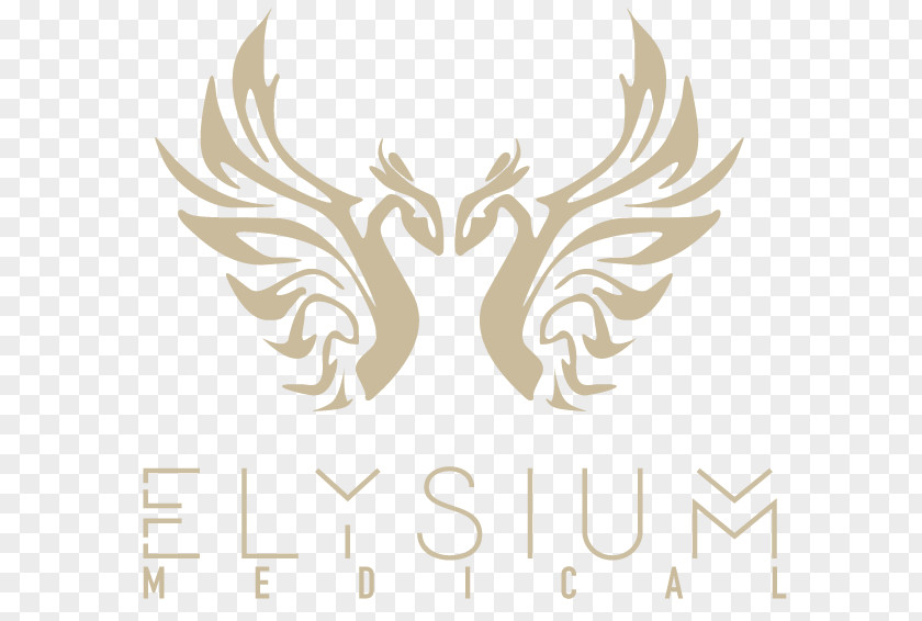 Elysium Medical Eric Dominico Pellegrino Oslo Floating Dreamstone Mining Company PNG