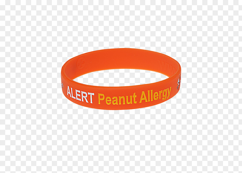 Eppilepsy Medical Alert Symbols Wristband Bracelet You Had Me At Woof: How Dogs Taught The Secrets Of Happiness Peanut Allergy Product PNG