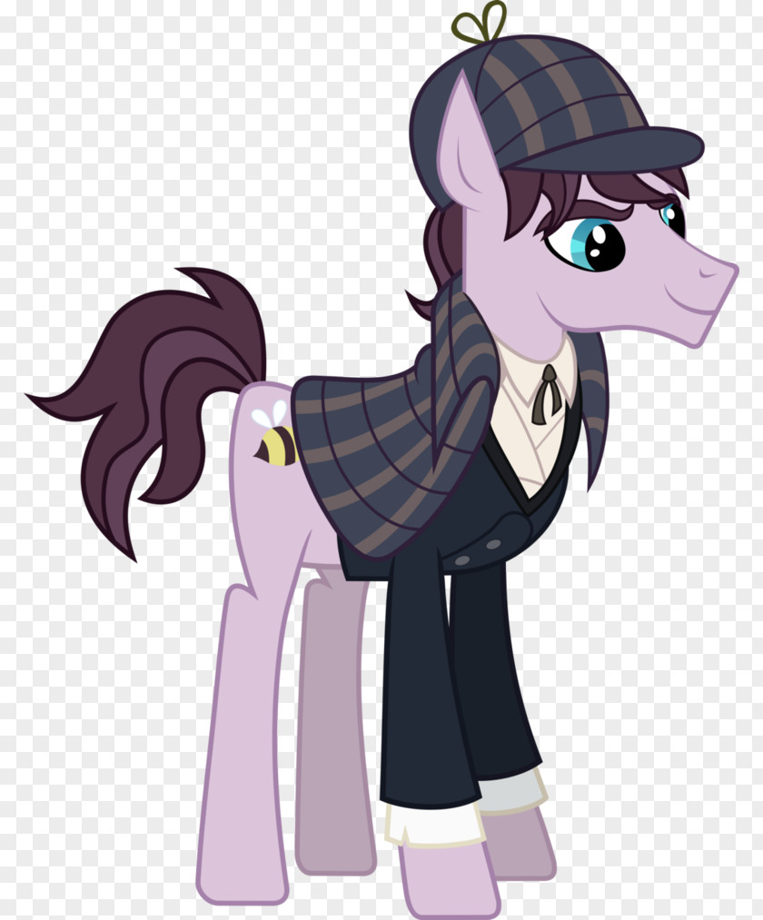 Horse Pony Derpy Hooves Twilight Sparkle Pinkie Pie Sherlock Holmes PNG