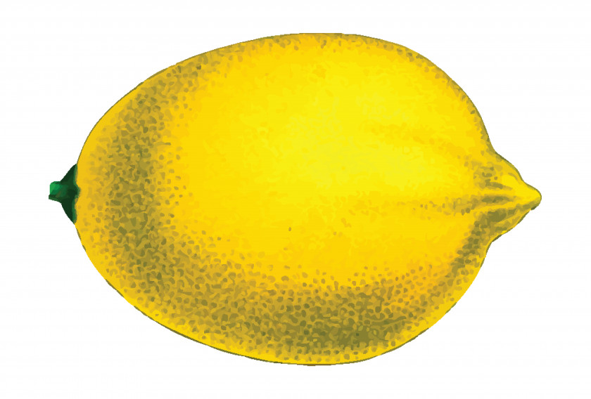 Lemon Fruit Clip Art PNG