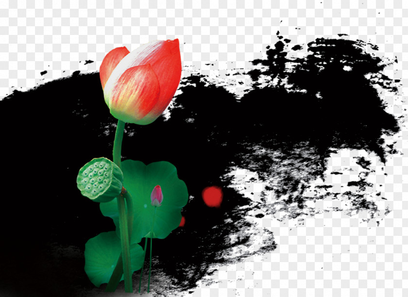 Lotus Material Ink The Book Of Apple PNG