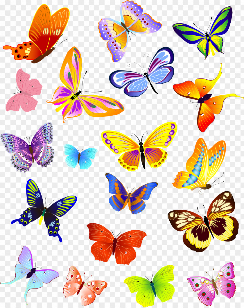 Modern Colorful Butterfly Clip Art PNG