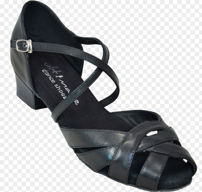 Rubber Shoes For Women 2012 Ballroom Dance East Coast Swing Shoe PNG