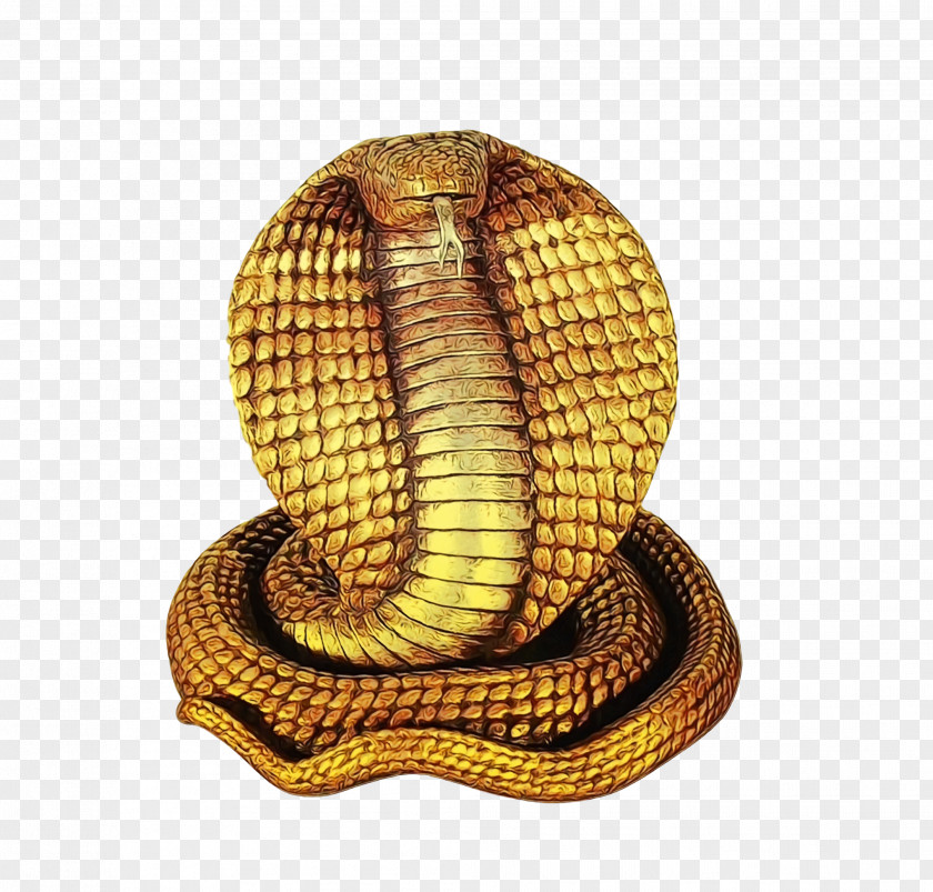 Serpent Rattlesnake Cobra PNG
