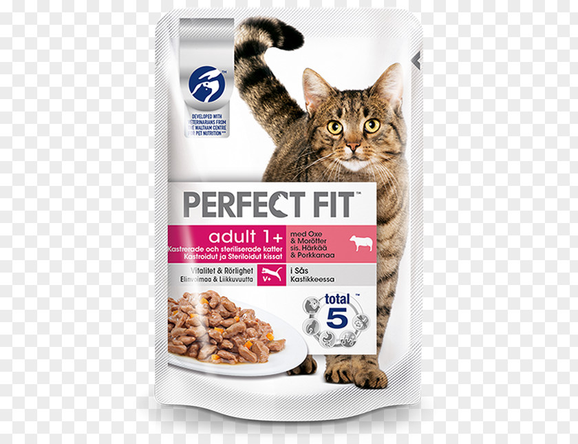 Cat Food Dog Chicken PNG