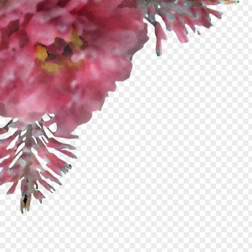 Cut Flowers Petal Family Flower PNG