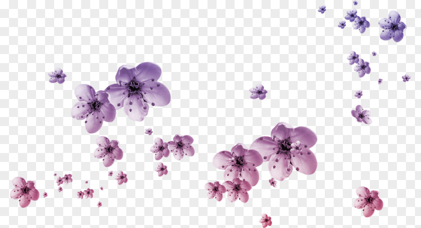 Plum Float Petal Flower Clip Art PNG