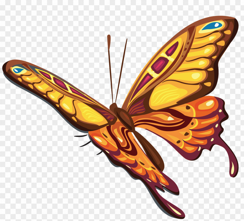 Watercolor Butterfly Clip Art PNG