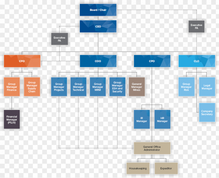 Design Brand Organization Diagram PNG