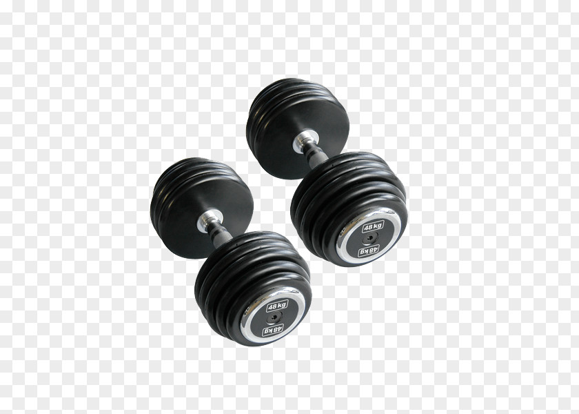 Dumbbell Bench Physical Fitness Weight Training Centre PNG