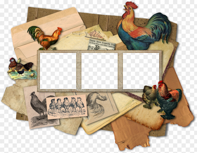 Vintage Chicken Picture Frames DeviantArt PNG