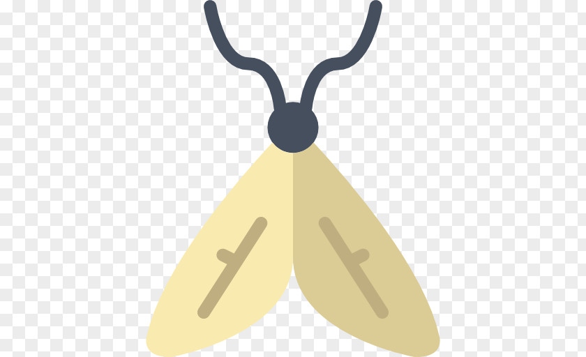 Moth PNG