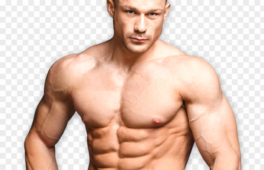 Muscle Bodybuilding Human Body Arm Adipose Tissue PNG